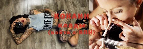 шишки Новокубанск