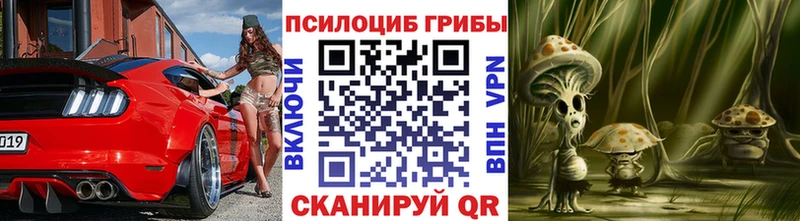 закладка Порхов Галлюциногенные грибы Cubensis